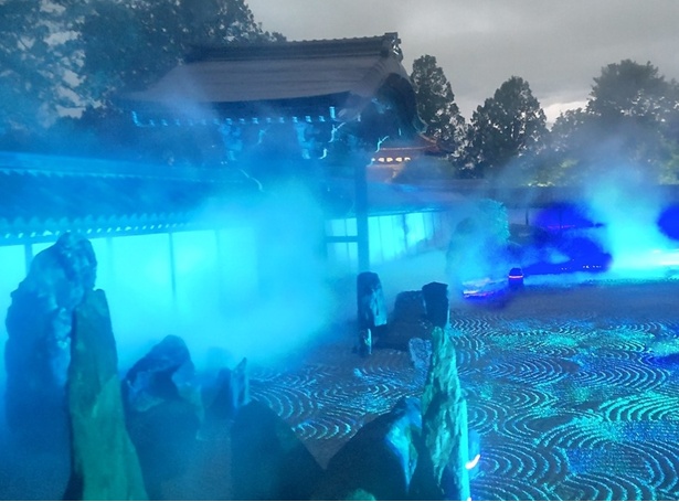 東福寺で体験！雲海に包まれる新感覚の夜間参拝