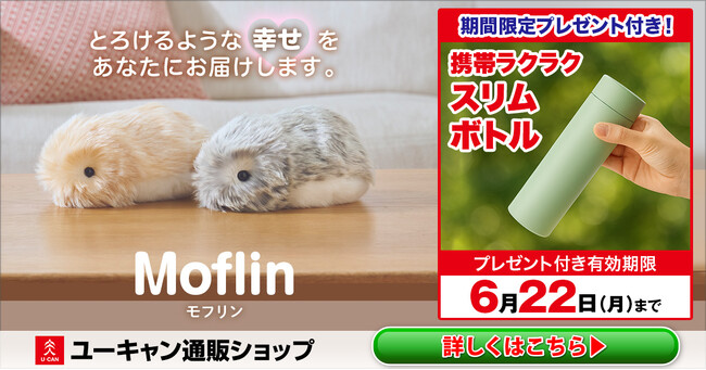 6/22（月）までプレゼント付き】もふもふのAIペットロボット