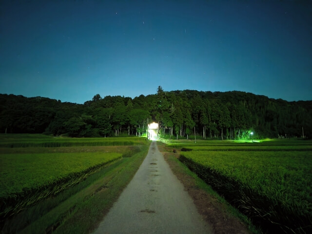 田舎と都会のカルチャーショックを楽しむ