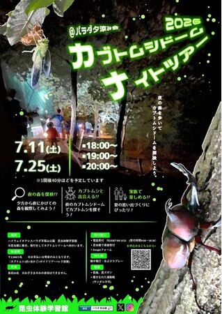 夜の森でカブトムシと触れ合う特別体験