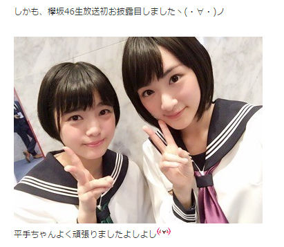 欅坂46(けやき坂46) - 欅坂46 平手友梨奈 制服のマネキン コンプ 次回発送 8/18以降 欅坂46 初期制服 制服のマネキン 平手友梨奈 生写真 - メルカリ