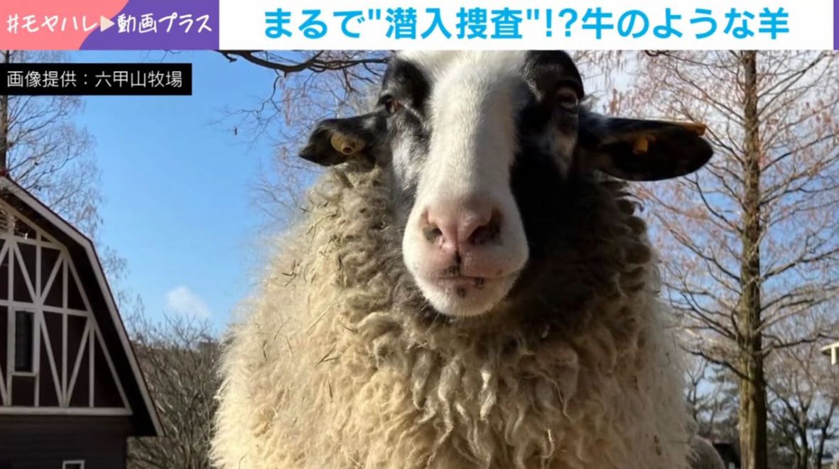 画像が削除されました