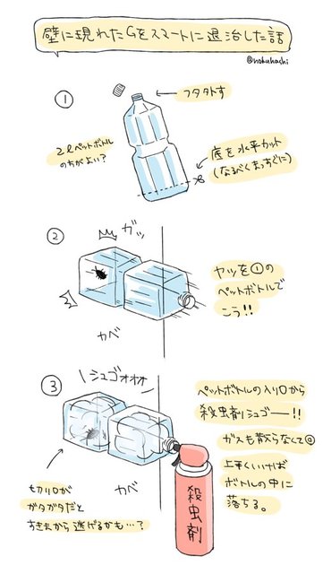 ゴキブリ駆除法 すぐに全滅させるための効果的な方法と3つの注意点 生活110番