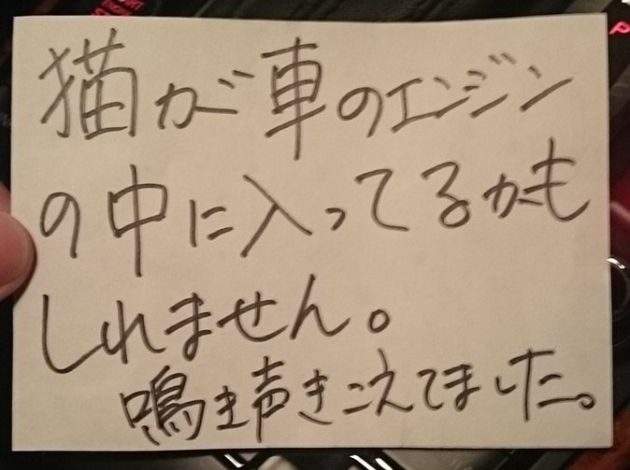 猫が車のエンジンの中に入っているかもしれません 鳴き声に気づいた人の書き置きに子猫救われる ニコニコニュース