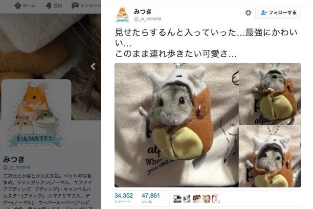 ピカチュウかと思った 残念 ハムちゃんでした ポケモン カラカラの着ぐるみに入り込んだハムスターが超絶かわいい ニコニコニュース