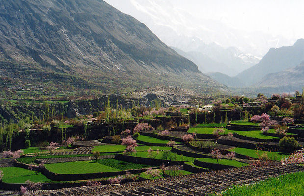 風の谷のナウシカ 腐海のモデルがウクライナにあった ニコニコニュース