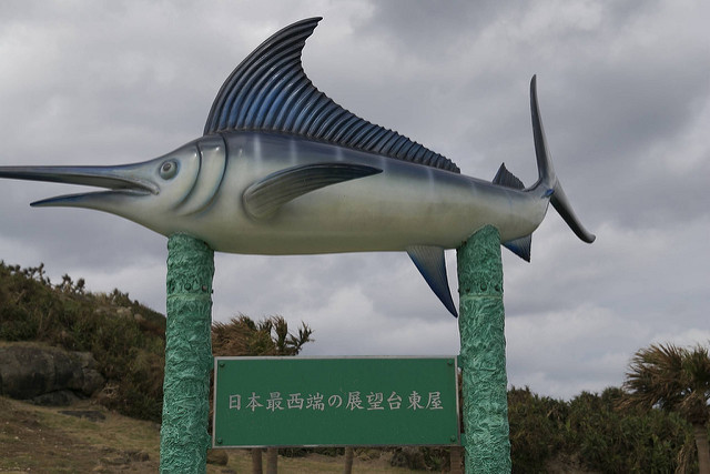 カジキマグロの希少部位 サワラ三角 は 観光客には広めたくない おいしさ ニコニコニュース