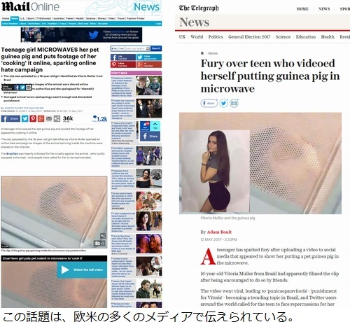 生きたモルモットを電子レンジで加熱 動画投稿 ニコニコニュース