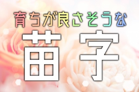 育ちが良さそうな苗字ランキング ニコニコニュース