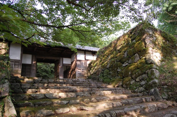 【福岡観光ガイド】“筑前の小京都”で四季の風景とともに歴史散策 ｢秋月城跡｣ | ニコニコニュース