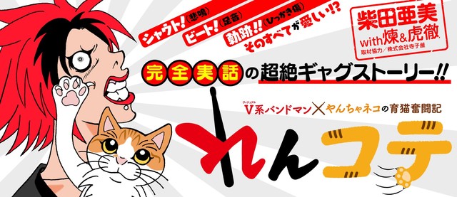 柴田亜美が描く バンドマンとその愛猫の実録ギャグがねこねこ横丁で ニコニコニュース