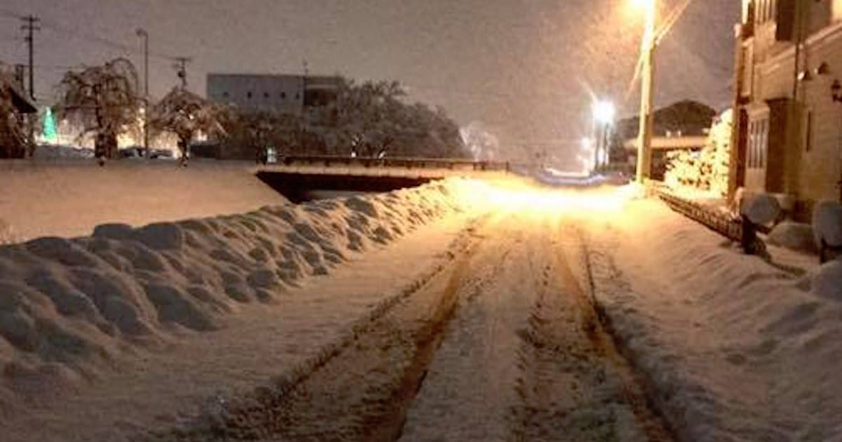 東京の雪なんて雪とは言わせない 雪国出身記者が教える 雪あるある ニコニコニュース