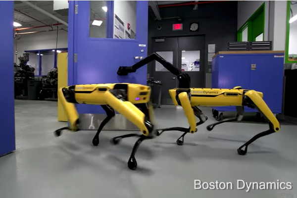 お先にどうぞ 最新の 四足歩行ロボット の動きに人間味がありすぎる ニコニコニュース