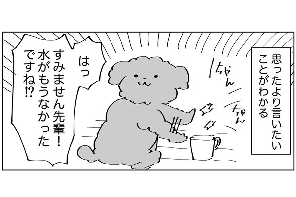 動物が苦手だったのに 犬 と家族になった日々を描いた漫画に共感の声 ニコニコニュース