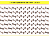 ひらめき力クイズ 超難問シリーズ この中から仲間外れをみつけろ ニコニコニュース