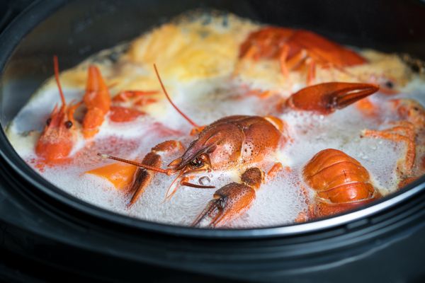 元祖鉄板焼ステーキみその大阪店 北新地 鉄板焼き ヒトサラ