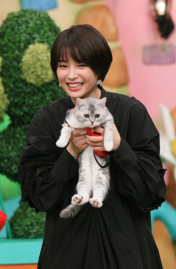 広瀬すず 親バカ を発揮 話題の愛猫と 志村どうぶつ園 出演 ニコニコニュース