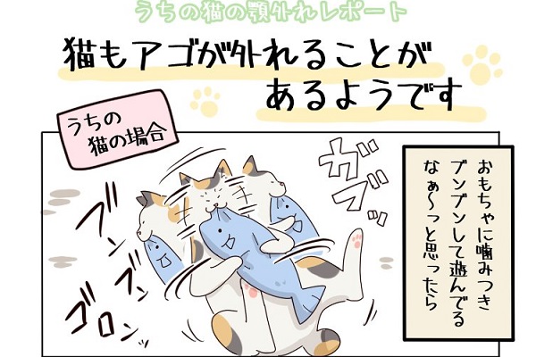 飼い猫のアゴが外れた 焦らず対応するためのマンガに大反響 ニコニコニュース