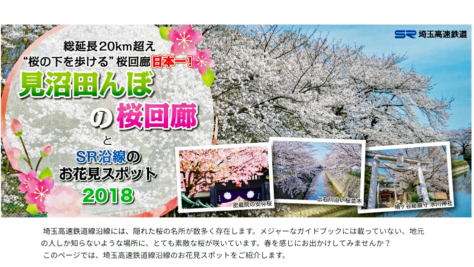 埼玉高速鉄道 見沼たんぼの桜回廊 とsr沿線お花見スポットを紹介 ニコニコニュース