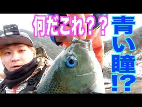 調達編が一晩で万再生突破 合計チャンネル登録者数100万人超 佐賀県を拠点に活動する釣りyoutuber 釣りよか ニコニコニュース