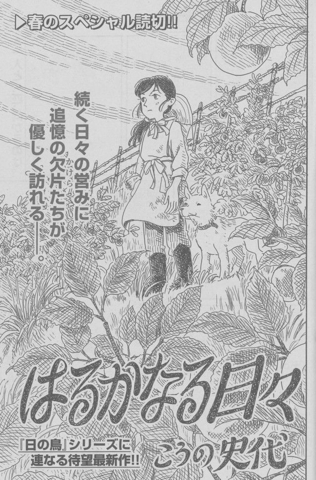 こうの史代の新作読切がゴラクに 震災後の東北で生きる1人の女性を描く ニコニコニュース