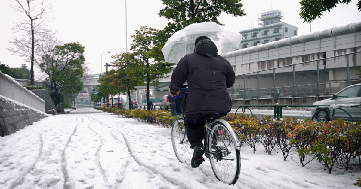 自転車取り締まり強化と言ってたのに結局傘さし運転は見逃す