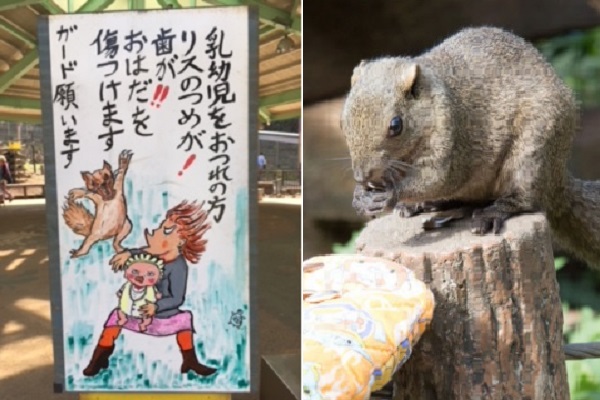 取材 町田リス園の 看板 がスゴイ 園長 安全に楽しんでもらえるように工夫 ニコニコニュース