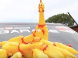 お腹を押すと鳴く あの鳥 を車に取り付けたらシュールすぎた 笑 ニコニコニュース