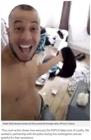 猫の虐待動画をfacebookに投稿し続けた男 生涯にわたり動物飼育禁止に 英 ニコニコニュース