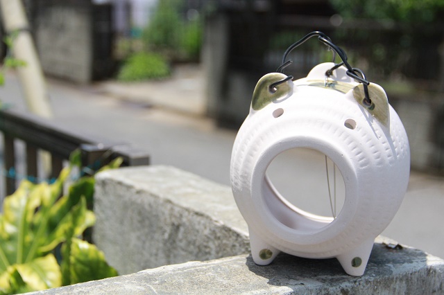 虫刺され かゆみの症状を抑えたいときに使う薬2選 ニコニコニュース