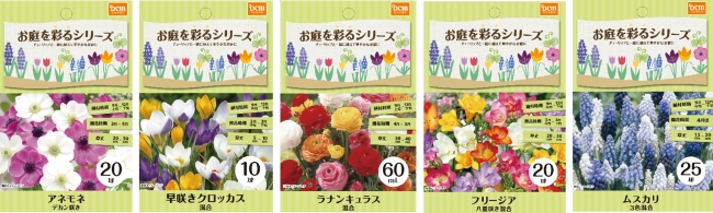 秋の植え替えシーズンの決定版 チューリップと一緒に植えてお庭を彩る球根シリーズ Dcmブランド ニコニコニュース