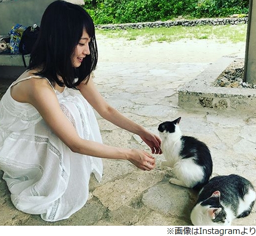 吉岡里帆 飼いネコ溺愛の長瀬智也に 過保護 ニコニコニュース