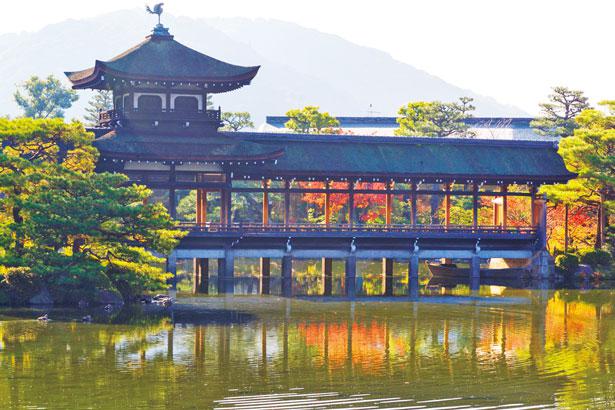 水面が紅に染まる この秋は紅葉 建物の絶景を眺めに平安神宮へ ニコニコニュース