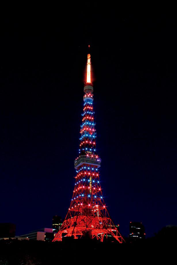 クリスマスシーズンにさらなる輝きを増す 東京二大タワーのイルミネーション ニコニコニュース