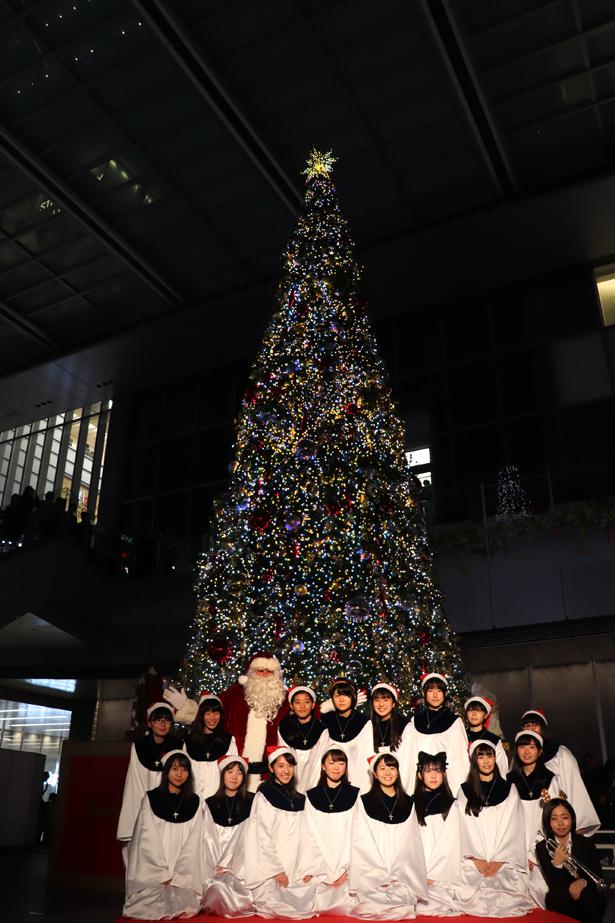 名古屋駅エリアで最大級ツリー Jrゲートタワーのクリスマスイルミネーションがスタート ニコニコニュース