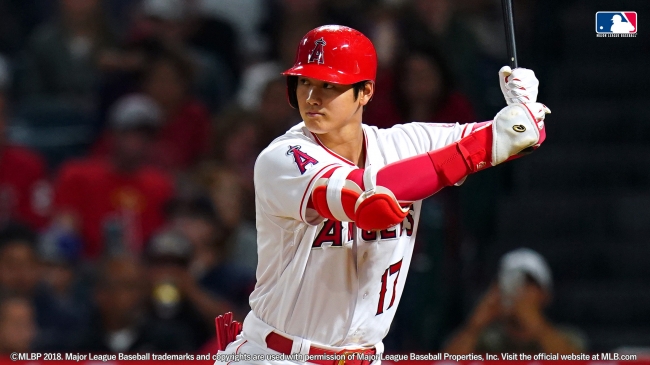 大谷翔平選手 2021年シーズン ミニバット 限定 www.docgastronomia.com.br