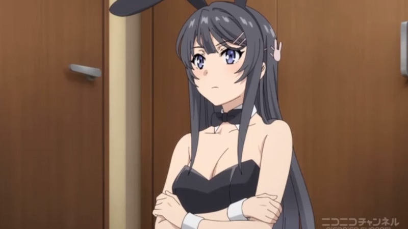 再びバニーガール姿を披露する麻衣さんがきゃわわ ニコニコニュース