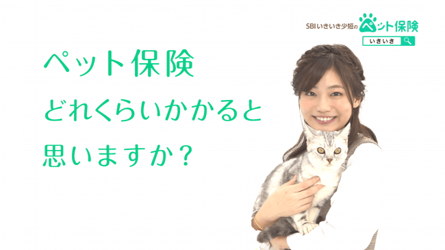 Sbiいきいき少短のペット保険 Tvcm第1弾 お手ごろな保険料 篇 選ぶ理由 篇 全国でオンエア開始 ニコニコニュース