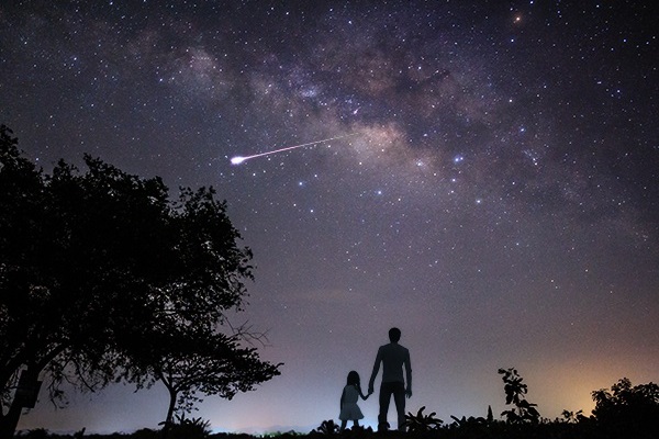 宇宙の流れ星の粉 ✨✨ ✨✨ピンクフェアリーウィッシュ