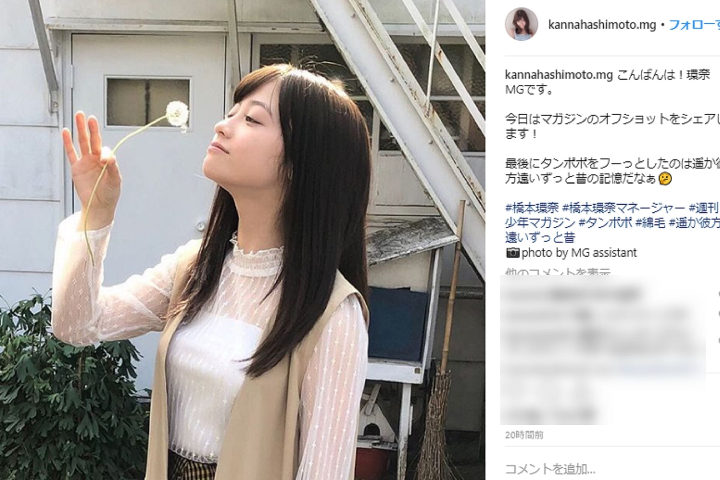 橋本環奈が タンポポをフーッ かわいすぎる横顔に 天使 とファン歓喜 ニコニコニュース