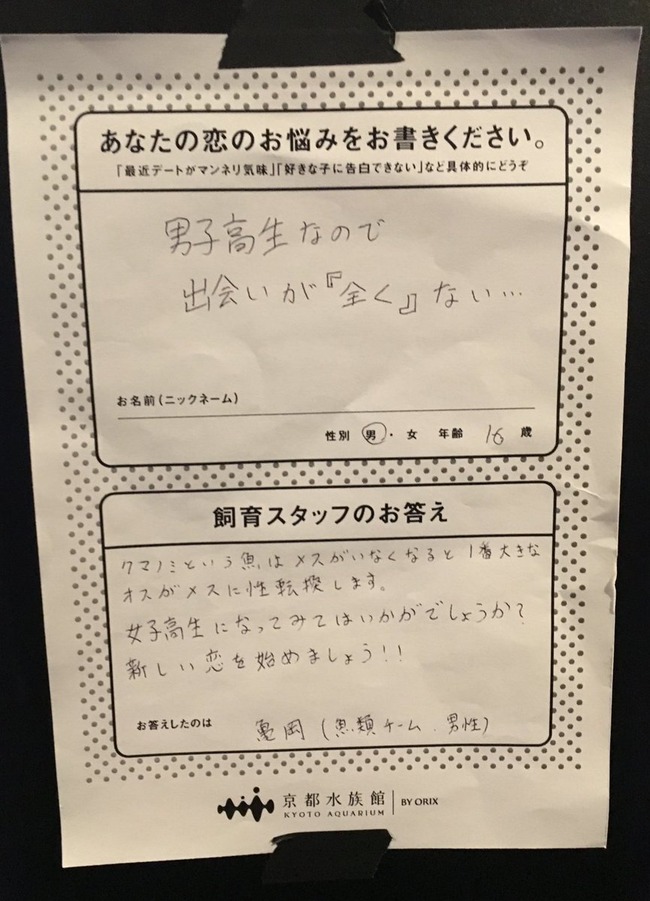 京都水族館の恋愛相談に対する回答がめっちゃ面白いと話題に ニコニコニュース