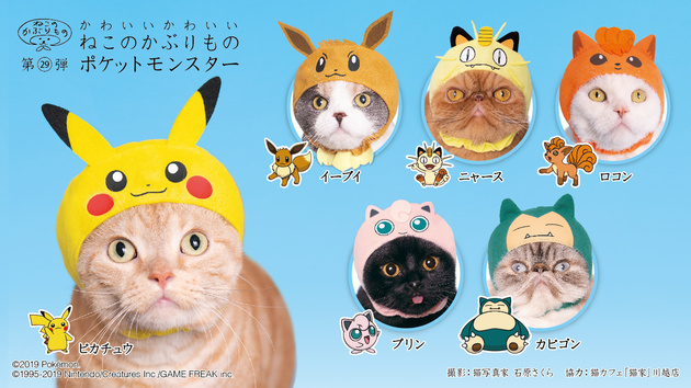 ピカチュウ や イーブイ に変身にゃ 猫専用のかぶりものに ポケットモンスター が新登場 ニコニコニュース