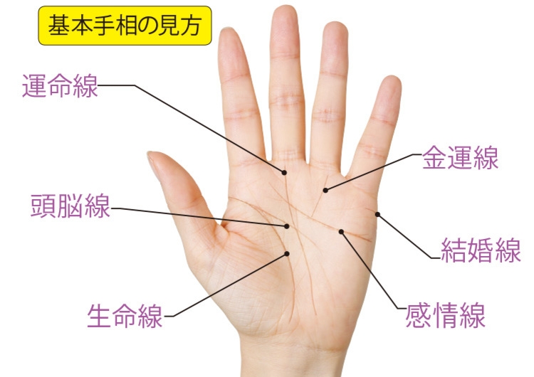 島田秀平監修 運気の上がる手のつくり方 書いて揉んでネイルするだけの開運手相術 ニコニコニュース
