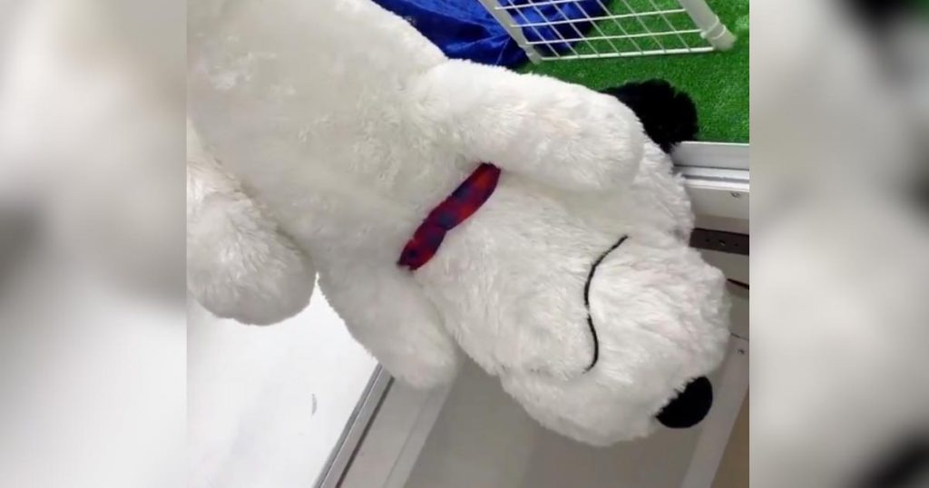 詐欺じゃない 常套手段なんですね 複合エンタメ施設ラウンドワンで撮影されたufoキャッチャーの動画が物議 ニコニコニュース