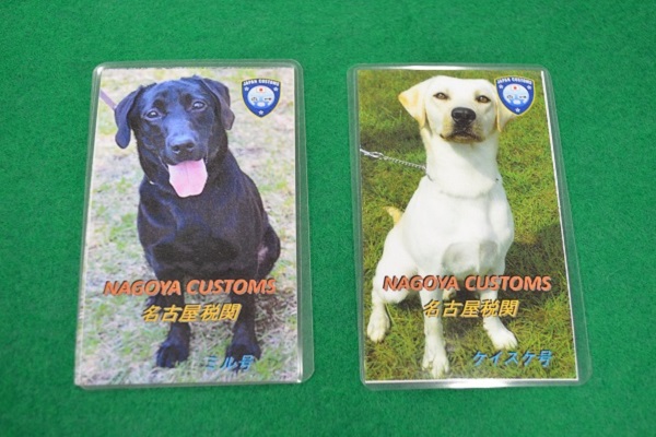 空港で 麻薬探知犬 の訓練に協力すると 名古屋税関に詳しく聞いた ニコニコニュース