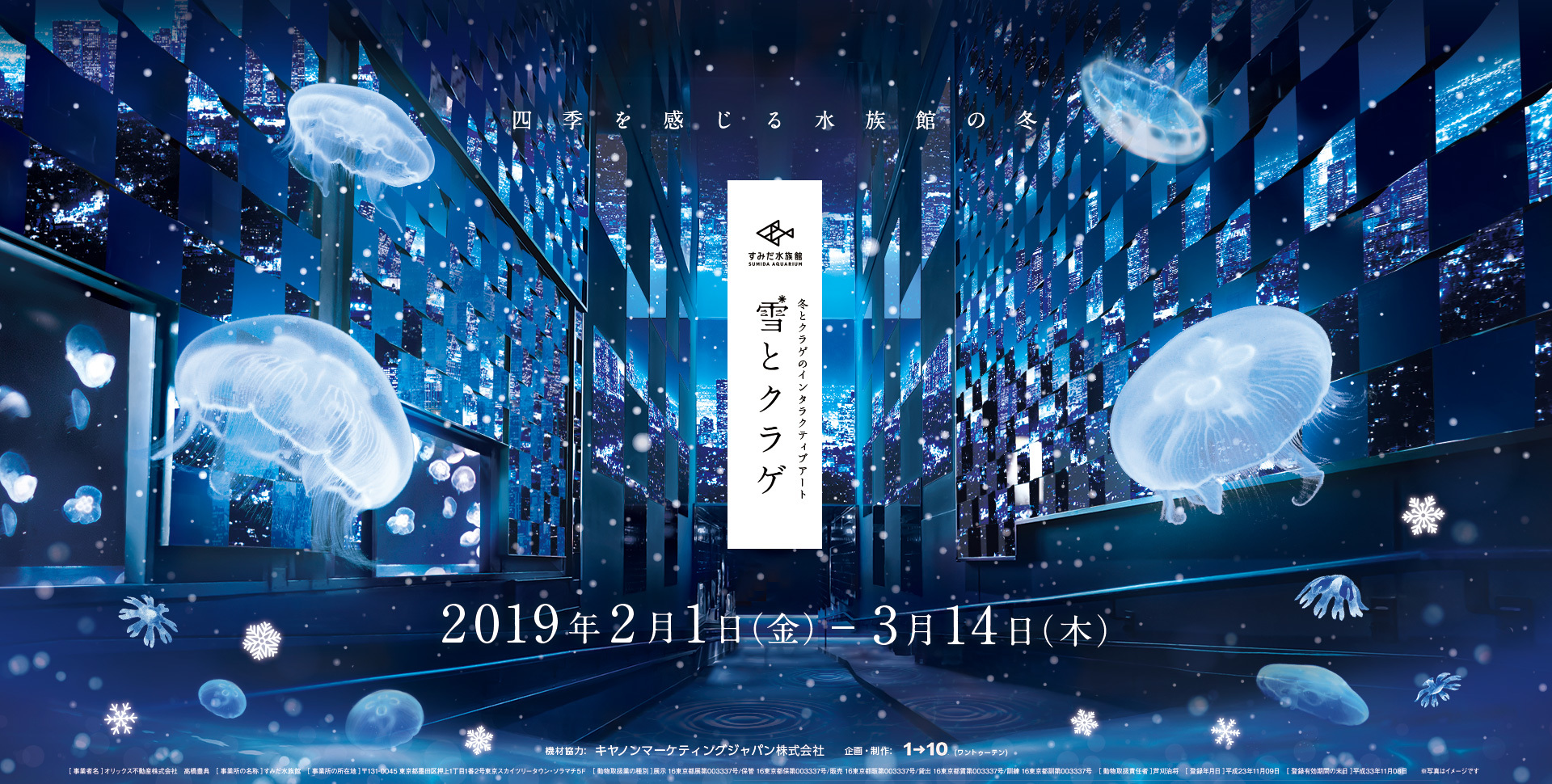 幻想的な空間や恋のパワースポットなど冬ならではのイベントが 冬だからこそ行きたい水族館５選 ニコニコニュース