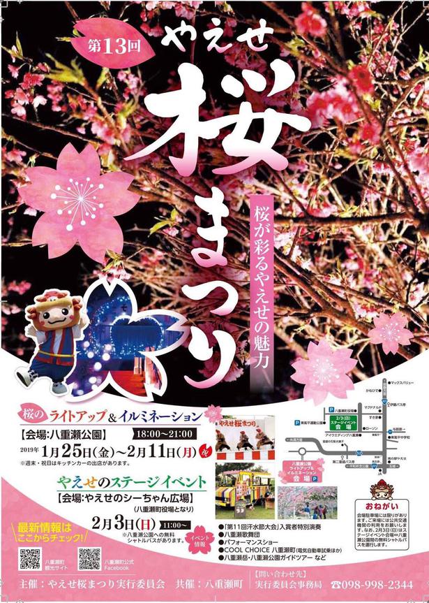 南国 沖縄の春を感じる 第13回やえせ桜まつり 開催中 ニコニコニュース