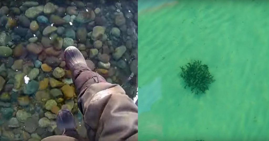 圧倒的な透明度 湖底まで丸見えなほど澄んだ世界一深いバイカル湖の氷の上を歩くと 空中散歩のようで浮遊感が凄いと話題に ニコニコニュース