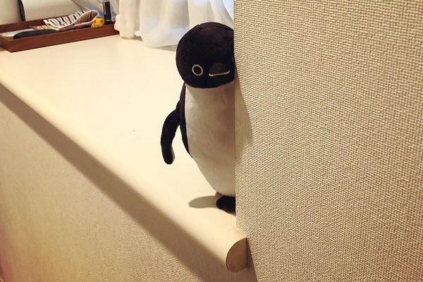 夫婦で夢中 Suicaペンギンのぬいぐるみを部屋のいろんな場所に移動させる遊び ニコニコニュース