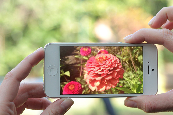 これさえ覚えれば完璧 Iphoneカメラ まる必 テクニック ニコニコニュース